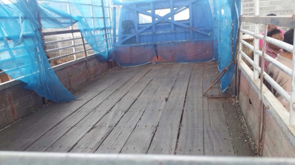 ขายรถบรรทุกหกล้อ Mitsubishi euro1 เครื่อง 120 แรง รถห้าง ทะเบียนพร้อม ขายรถบรรทุกหกล้อ Mitsubishi euro1 เครื่อง 120 แรง รถห้าง ทะเบียนพร้อม