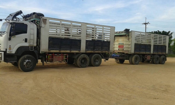 ต้องการขายรถสิบล้อISUZU360 แม่ลูก ต้องการขายรถสิบล้อISUZU360 แม่ลูก