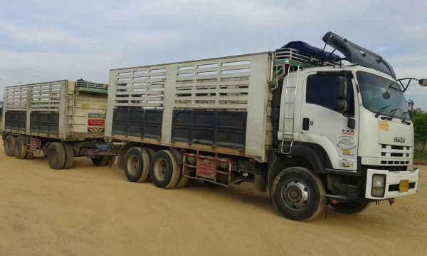 ต้องการขายรถสิบล้อISUZU360 แม่ลูก ต้องการขายรถสิบล้อISUZU360 แม่ลูก