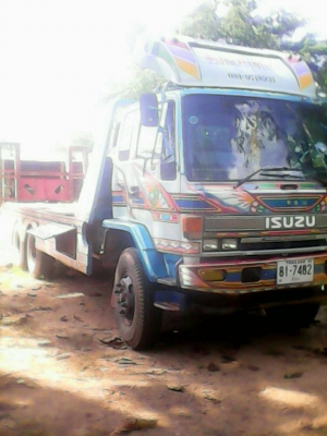 ขายร็อกกี้จัมโบ้