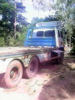 ขายร็อกกี้จัมโบ้