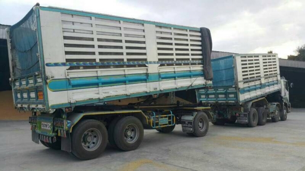 ขาย อีซูซุ 360 แม่ลูกดั้มสวยๆ ขายดาวน์ 550.000  พร้อมใช้ครับ