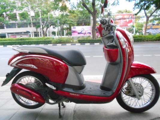 Scoopy-i เกรดA Scoopy-i เกรดA