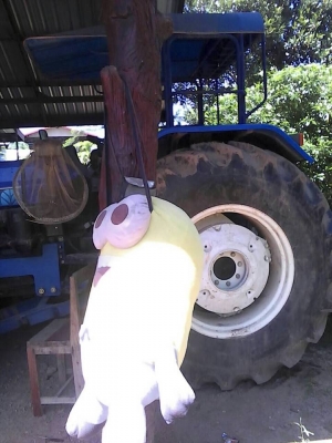 ขายรถไถ NEW HOLLAND TT75 อุปกรณ์ดันหน้า ผานหลัง ใช้งาน 1500ชม. สภาพพร้อมใช้งาน เอกสารเล่มทะเบียนพร้อมโอน สนใจโทร 090-8588220คุณนะ 093-3258446คุณบิว หรือเข้าดูสินค้าอื่นๆได้ที่ www.truck.in.th/498 หรือเพจFacebook ณรงค์ ซื้อขายรถมือสอง (เว็บไซต์ส่วนตัว) หรื