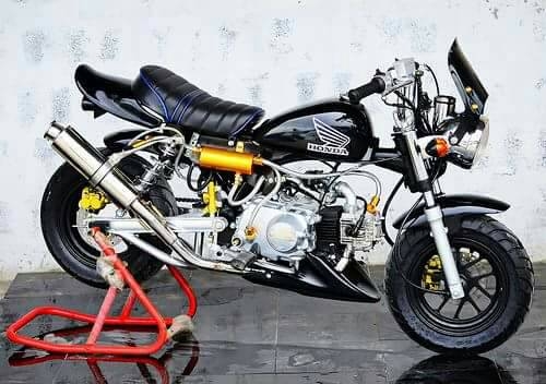 รถต้นแบบ MSX มังกี้ กอลิล่า แต่ง มี100 แบบให้เลือก