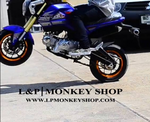 มังกี้ รุ่นใหม่ 2 คันเท่านั้น ใช้ฐานแบบจาก มังกี้ เป็นรุ่นล่าสุด เป็น ใบคุมขนส่ง เครื่อง 110 cc ราคา 35000 ลดเหลือ