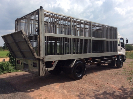 ISUZU DECA EURO1 6 ล้อ (รถวิ่งหมู) ยาว 6.5 ม. คอกเลส เครื่อง195แรง (6HH1) เครื่องดี ครัทซีสวย ยางใหม่ ขาย 750,000บาท (ศุภากร 081-1903107, 081-4252943)