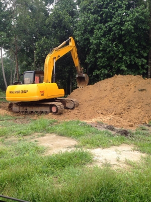 ขายหกดั้ม 195 แท้