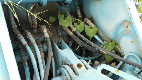 ** ขายแล้วครับ!! ** เครนกระเช้า NICHI Made in JAPAN ยกสูง 18 m.!!