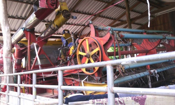 ขายรถเกี่ยวข้าวไทยเจริญเครื่องอีซูซุ210 6HH1 โซ่ใหม่ช่วงล่างใหม่ เช็คกำลังลงเกี่ยวข้าว ดูรถหน้างานได้เลย เครื่องดี ปั๊มใหญ่