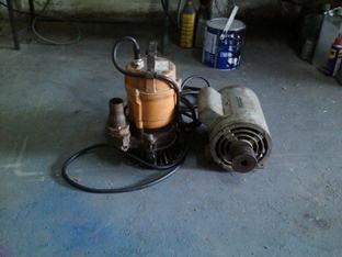 มอเตอร์ มิตซู ปั๊มน้ำญี่ปุน อิตาลี ประเเจ usa มอเตอร์ มิตซู ปั๊มน้ำญี่ปุน อิตาลี ประเเจ usa