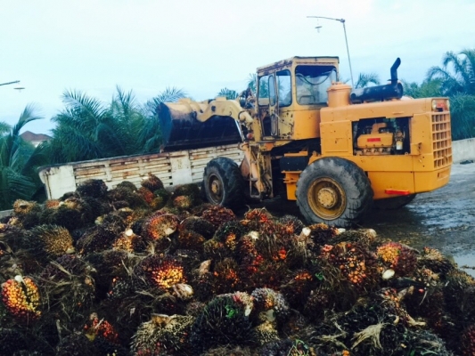 ขายรถตักมือ 2 ยี่ห้อ komatsu