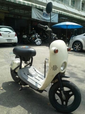 ป๊อปน้อย โชอิโนริ