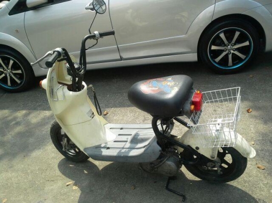 ป๊อปน้อย โชอิโนริ