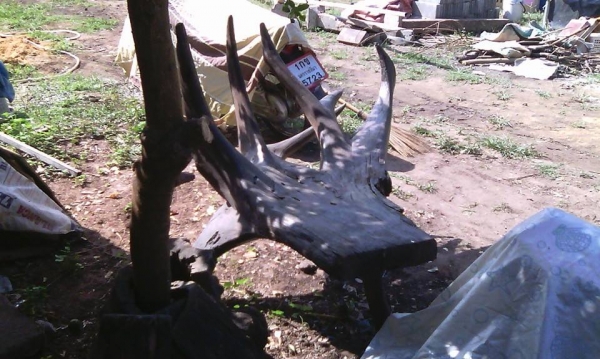 เก้าอี้ไม้รากประดู่