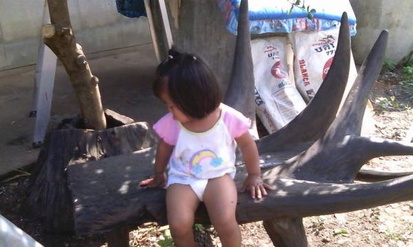 เก้าอี้ไม้รากประดู่ เก้าอี้ไม้รากประดู่