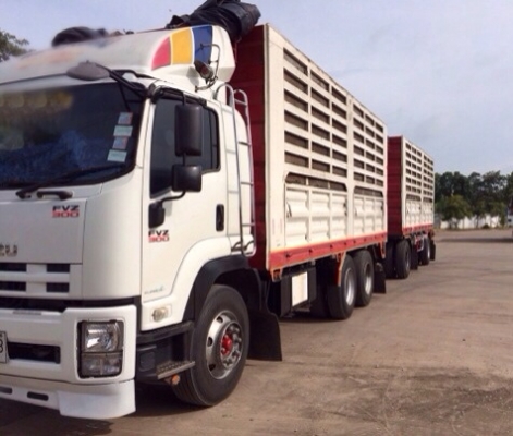 ขายด่วน รถสิบล้อพ่วงไม่ดั้มพ์ แม่ลูก  isuzu  deca300 ปี 53