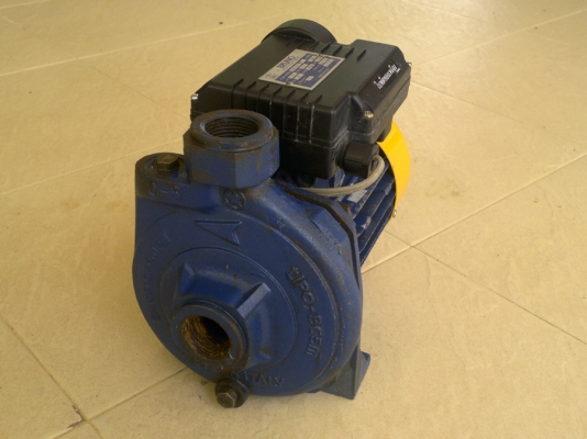 ปั๊มนํ้า BRUNO 1 นิ้ว ITALY