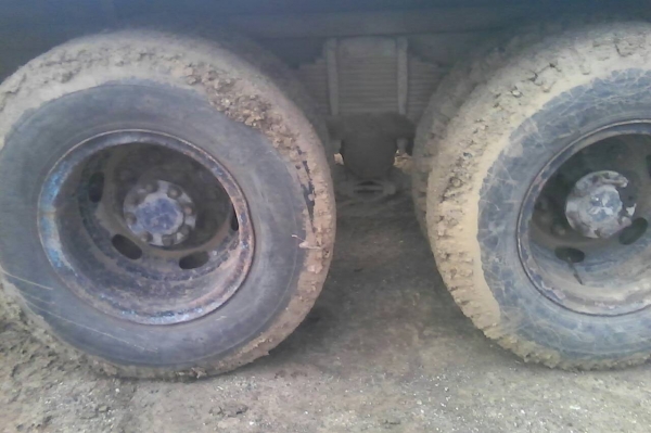 สิบล้อ มิตซู ไอ้หลง FN527MA-6D16-195แรง 2เพา เครืองแน่นเกียร์เดิม10สปีส เทนเชอร์ขึ้นแม็คโค 200 สภาพดีพร้อมใช้งาน ทะเบียนพร้อมโอน สิบล้อ มิตซู ไอ้หลง FN527MA-6D16-195แรง 2เพา เครืองแน่นเกียร์เดิม10สปีส เทนเชอร์ขึ้นแม็คโค 200 สภาพดีพร้อมใช้งาน ทะเบียนพร้อมโอน