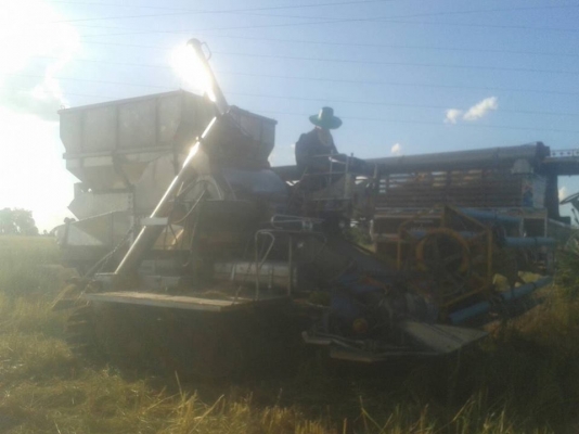 ขายรถเกี่ยวข้าวตัวเดิน12 อำนวย การช่าง ตู้แสตนเลส อุ้มแสตนเลสเครื่องHino jo8c ทรู 260 ช่วงล่างดี เครื่องดี สภาพลงงานดูรถหน้างาน ขายรถเกี่ยวข้าวตัวเดิน12 อำนวย การช่าง ตู้แสตนเลส อุ้มแสตนเลสเครื่องHino jo8c ทรู 260 ช่วงล่างดี เครื่องดี สภาพลงงานดูรถหน้างาน