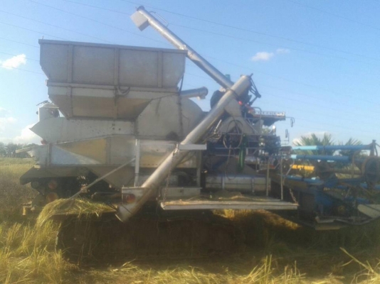 ขายรถเกี่ยวข้าวตัวเดิน12 อำนวย การช่าง ตู้แสตนเลส อุ้มแสตนเลสเครื่องHino jo8c ทรู 260 ช่วงล่างดี เครื่องดี สภาพลงงานดูรถหน้างาน ขายรถเกี่ยวข้าวตัวเดิน12 อำนวย การช่าง ตู้แสตนเลส อุ้มแสตนเลสเครื่องHino jo8c ทรู 260 ช่วงล่างดี เครื่องดี สภาพลงงานดูรถหน้างาน