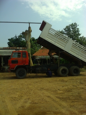 ขายดั๊มยกชุด