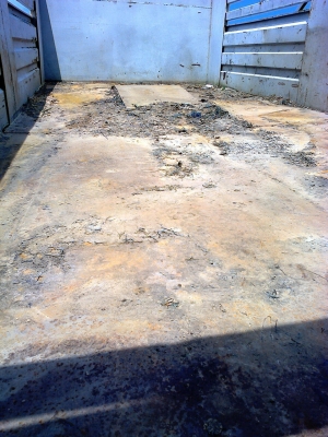 ขายดั๊มยกชุด