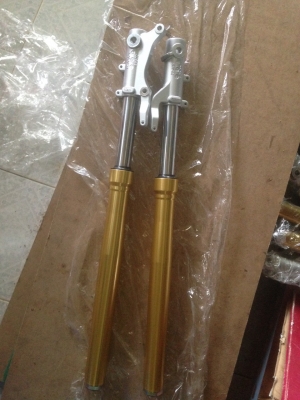 ขาย - โซ๊ค zoomer-X