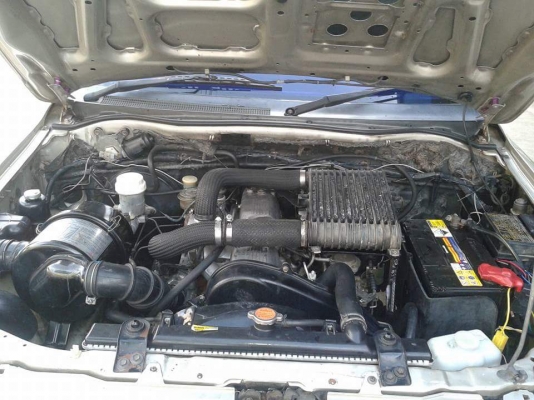 ขายสตร้าด้าหัวเดียวปี04