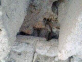 ขายรถแมคโมค โกเบมาร์ค ไฟว์ ธรรมดา สนใจติดต่อ 0892819206-0964703811