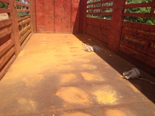 ขายหางพ่วงไม่ดั้มหางพนัสปี 55 ขายหางพ่วงไม่ดั้มหางพนัสปี 55