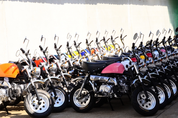 มังกี้ กอลิล่า เดิม ราคาสุดๆ เริ่มต้นเพียง 2XXXX  แต่งๆๆ ลดราคาทุกรุ่นและมีของแถมอีกมากมาย  ด่วนๆๆ ลดๆๆ   เริ่มต้นราคา ที 22999