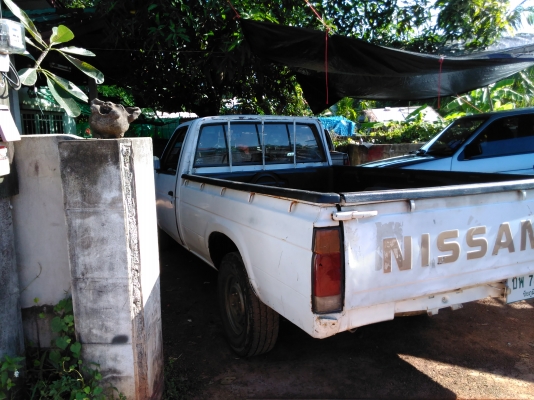 ขายนิสสันบิ๊กเอ็มหัวเดียวเครื่องฝาแดง2.5 ปี36 เครื่องดีคัดชีสวย ภาษีไม่ขาด 59000 บ. ขายนิสสันบิ๊กเอ็มหัวเดียวเครื่องฝาแดง2.5 ปี36 เครื่องดีคัดชีสวย ภาษีไม่ขาด 59000 บ.