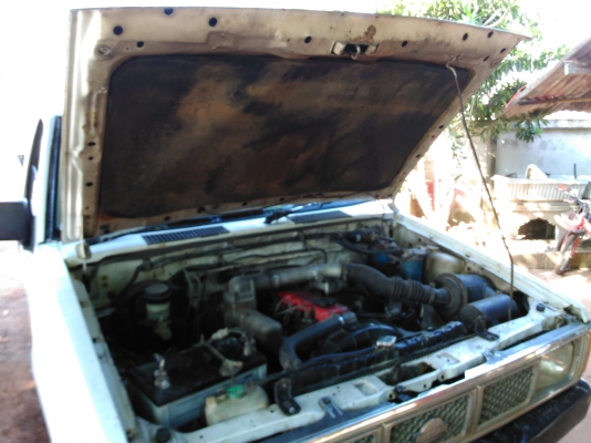 ขายนิสสันบิ๊กเอ็มหัวเดียวเครื่องฝาแดง2.5 ปี36 เครื่องดีคัดชีสวย ภาษีไม่ขาด 59000 บ. ขายนิสสันบิ๊กเอ็มหัวเดียวเครื่องฝาแดง2.5 ปี36 เครื่องดีคัดชีสวย ภาษีไม่ขาด 59000 บ.