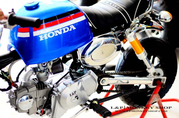 รถต้นแบบ MSX มังกี้ กอลิล่า แต่ง มี100 แบบให้เลือก