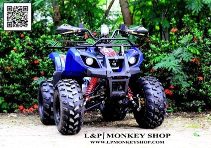 ATV MINI BEAR เครื่องยนต์ 125cc ล้อ8"  รุ่นพิเศษ มีไมล์บอกเกียร์  ฟรีเครื่องเสียงราคา 900 มีรีโมทกันขโมยด้วยค่ะ