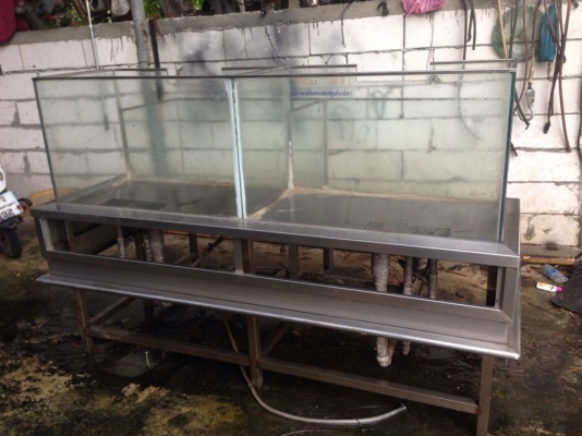 ขายตู้ปลาสแตนเลส กว้าง105ซ.ม ยาว190ซ.ม สูง55ซ.ม ซื้อมา35000ไม่ได้ใช้ ขายถูก 25000 บาท