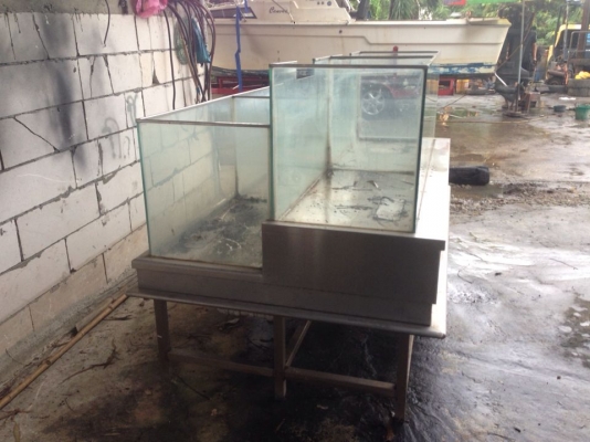 ขายตู้ปลาสแตนเลส กว้าง105ซ.ม ยาว190ซ.ม สูง55ซ.ม ซื้อมา35000ไม่ได้ใช้ ขายถูก 25000 บาท