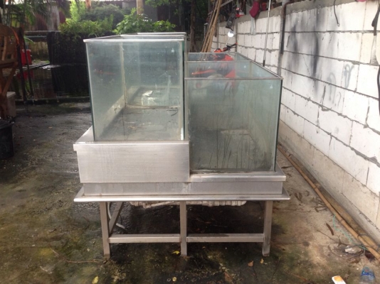 ขายตู้ปลาสแตนเลส กว้าง105ซ.ม ยาว190ซ.ม สูง55ซ.ม ซื้อมา35000ไม่ได้ใช้ ขายถูก 25000 บาท