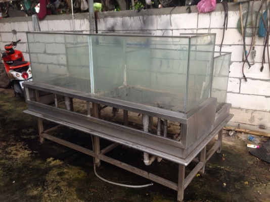 ขายตู้ปลาสแตนเลส กว้าง105ซ.ม ยาว190ซ.ม สูง55ซ.ม ซื้อมา35000ไม่ได้ใช้ ขายถูก 25000 บาท