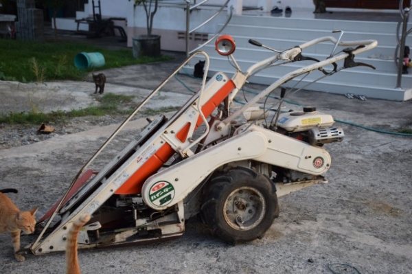 ขายรถเกี่ยวข้าวแบบเดินตาม เกี่ยวมัด kubota 1 แถว ขายตามสภาพ 13,500 บาท ขายรถเกี่ยวข้าวแบบเดินตาม เกี่ยวมัด kubota 1 แถว ขายตามสภาพ 13,500 บาท