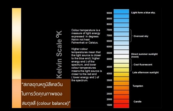 ขายหลอดไฟหน้า Philips ส่องสว่างขึ้น 35 เมตร ขายหลอดไฟหน้า Philips ส่องสว่างขึ้น 35 เมตร