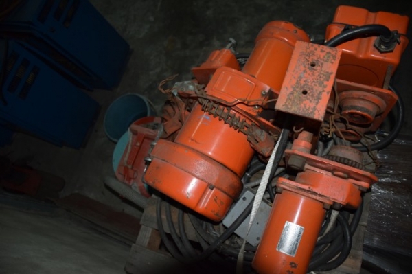 ขายรอก nitchi 1 ตัน ราคา 30,000 บาท