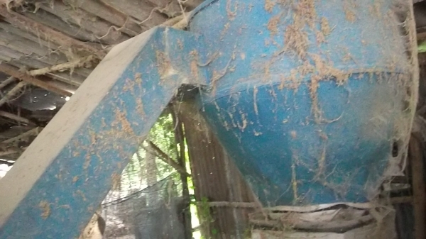 ฝากขาย ฝากขาย