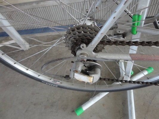 ขาย brigestone radac เสือหมอบ ขาย brigestone radac เสือหมอบ