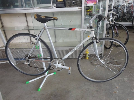 ขาย brigestone radac เสือหมอบ