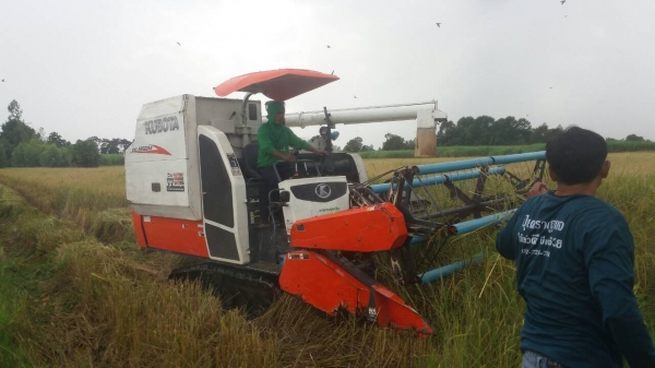 ขายรถเกี่ยว DC95GMไม่มีคนขับทำงานประจำไม่มีเวลาพร้อมเทเลอร์