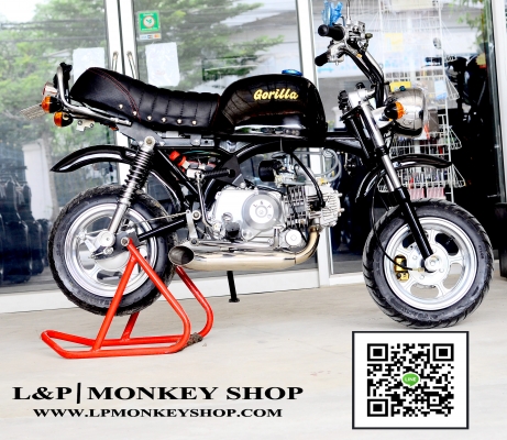 รถต้นแบบ MSX มังกี้ กอลิล่า แต่ง มี100 แบบให้เลือก