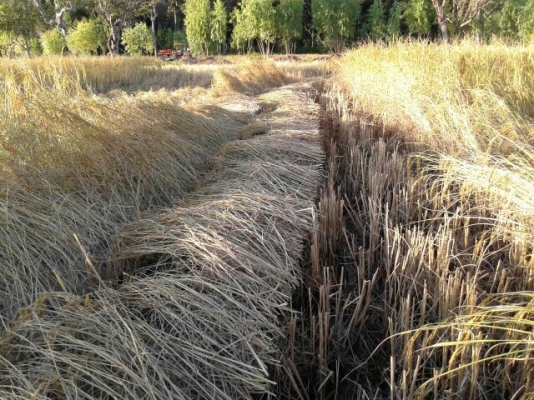 ขายด่วนถูกๆ23900 ขายด่วนถูกๆ23900