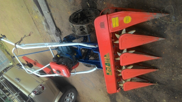 ขายด่วนถูกๆ23900 ขายด่วนถูกๆ23900